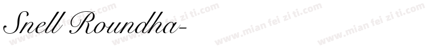 Snell Roundha字体转换